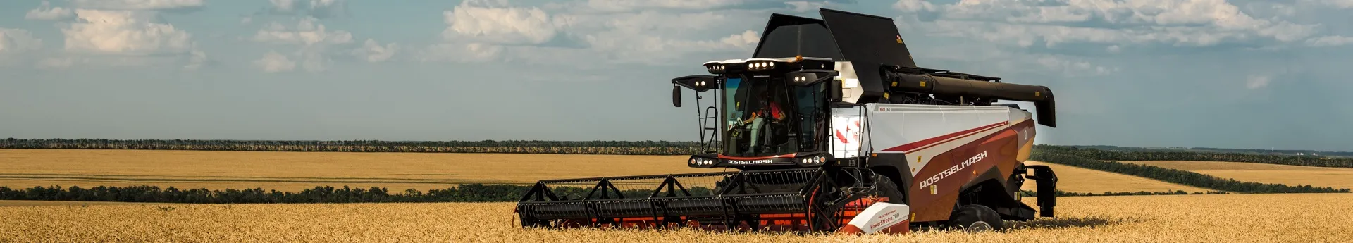 Kombajn zbożowy RSM 161 na polu
